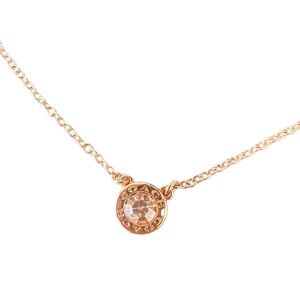 Coach Open Circle Stone Necklace in Rose Gold